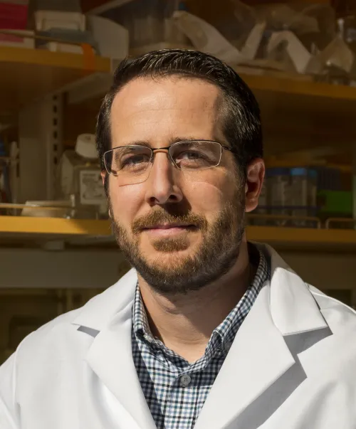 Photo of Dr. McLellan